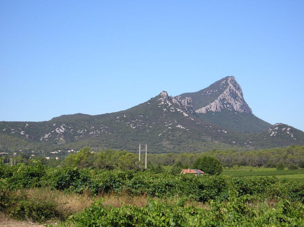 Pic Saint Loup P8140141